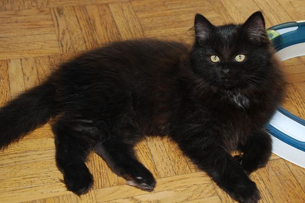 k-k-DSC_3625 (2).JPG